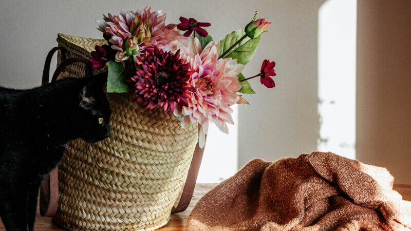 フランス語で「当てはまる」「私もそうです」を意味する C'est le cas の使い方を解説。