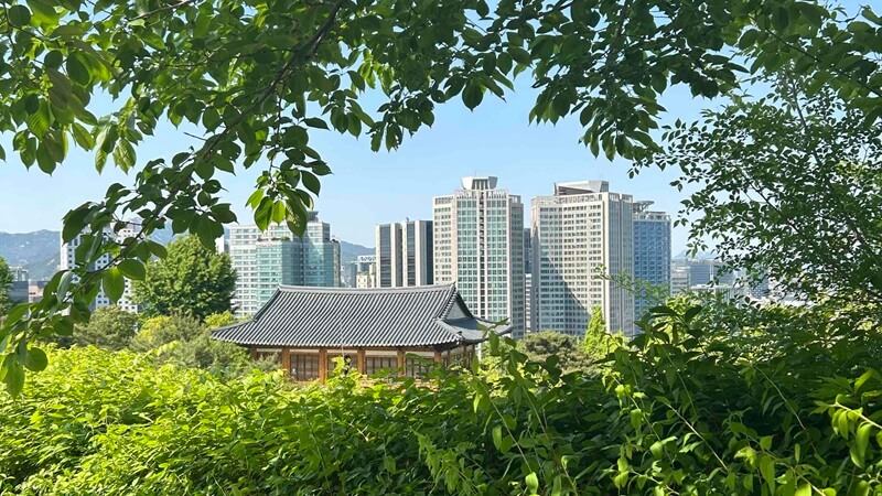 韓国の美しい景色の中で、フランス人の友人たちとアクティブに過ごす旅のイメージ。フランス語オンリーの環境で「居場所」を見つけるまでのエッセイ。