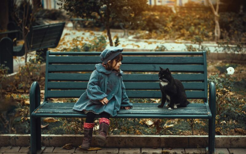 猫と女の子が秋の公園でベンチで話をしているイメージ